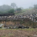 ESTABILIZACION DE PREDIOS